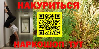 ГАЛЛЮЦИНОГЕННЫЕ ГРИБЫ Гусев