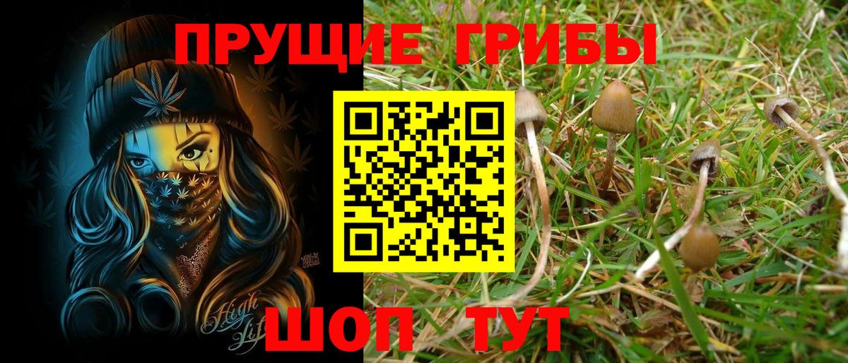 купить  цена  Вход с VPN  Оренбург  Псилоцибиновые грибы Magic Shrooms 